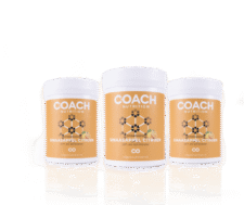 Coach Nutrition Overige producten Drinkmix sinaasappel citroen